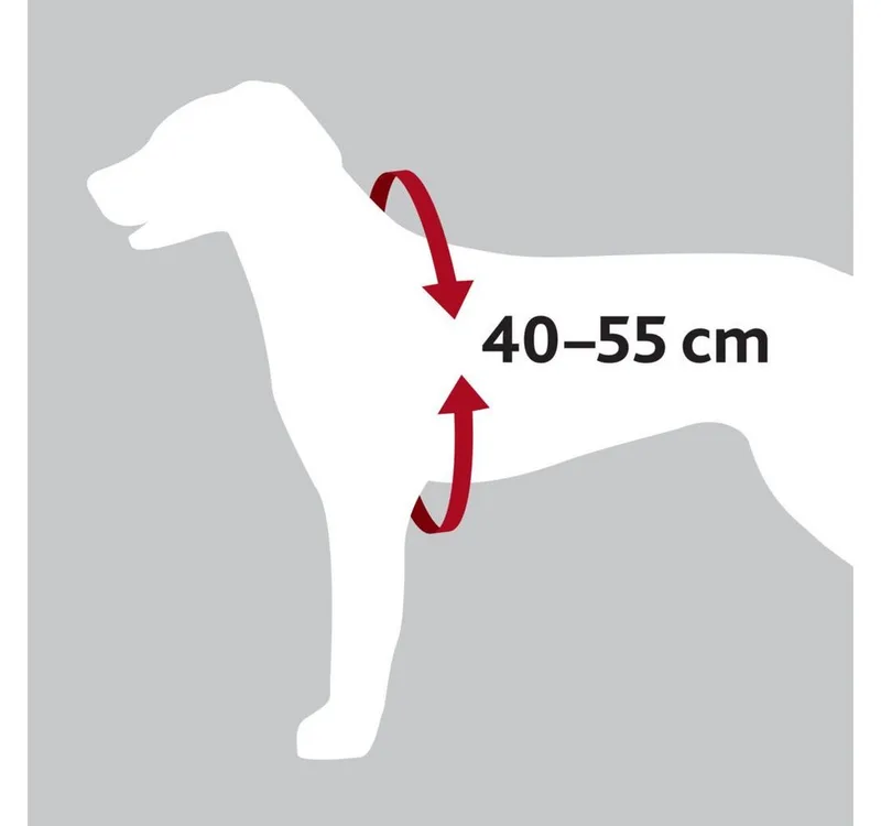 Harnais Pour Chien Dog Protect Safety 20 Mm von Trixie – Produktfoto 2 von 5