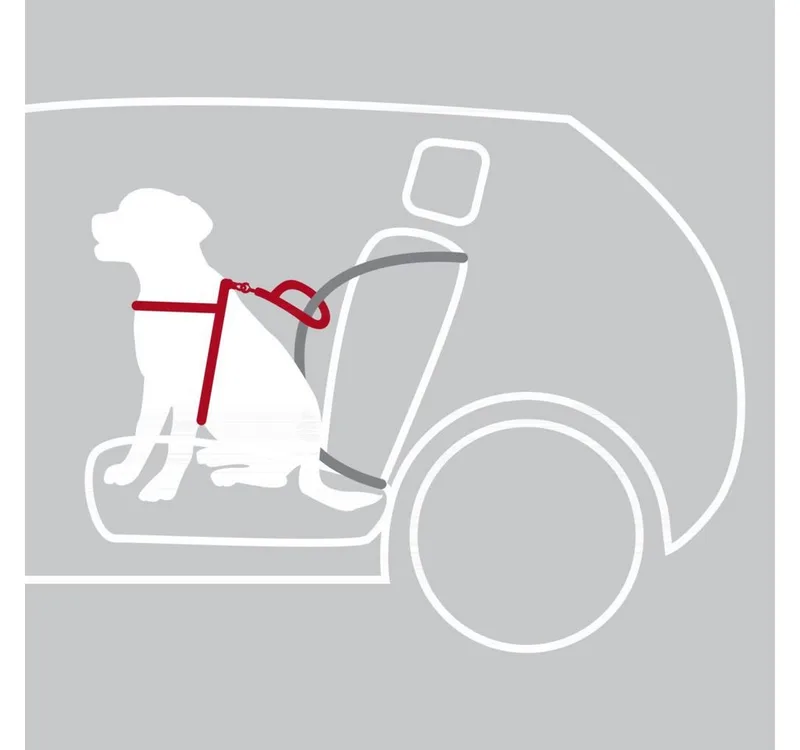 Harnais Pour Chien Dog Protect Safety 20 Mm von Trixie – Produktfoto 3 von 5
