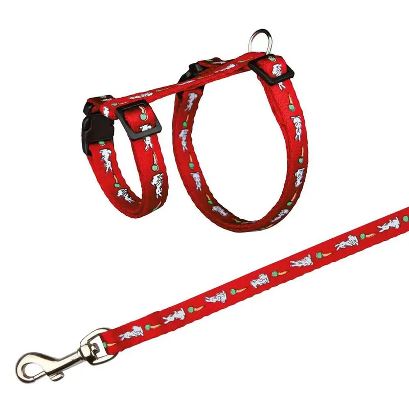 Harnais Pour Chien Rabbit Set de Trixie – photo produit 1 sur 4