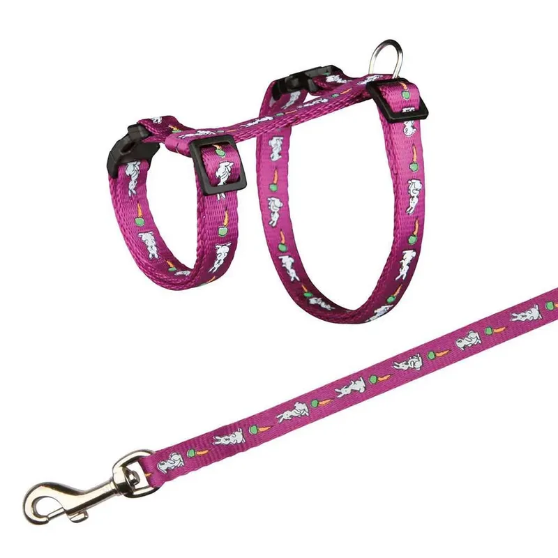 Harnais Pour Chien Rabbit Set de Trixie – photo produit 4 sur 4