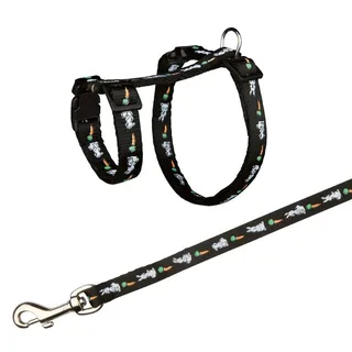 Harnais Pour Chien Rabbit Set de Trixie – photo produit 3 sur 4