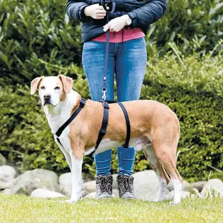 Harnais Pour Chien Stay Guide 10 Mm by Trixie – product photo 2 of 2