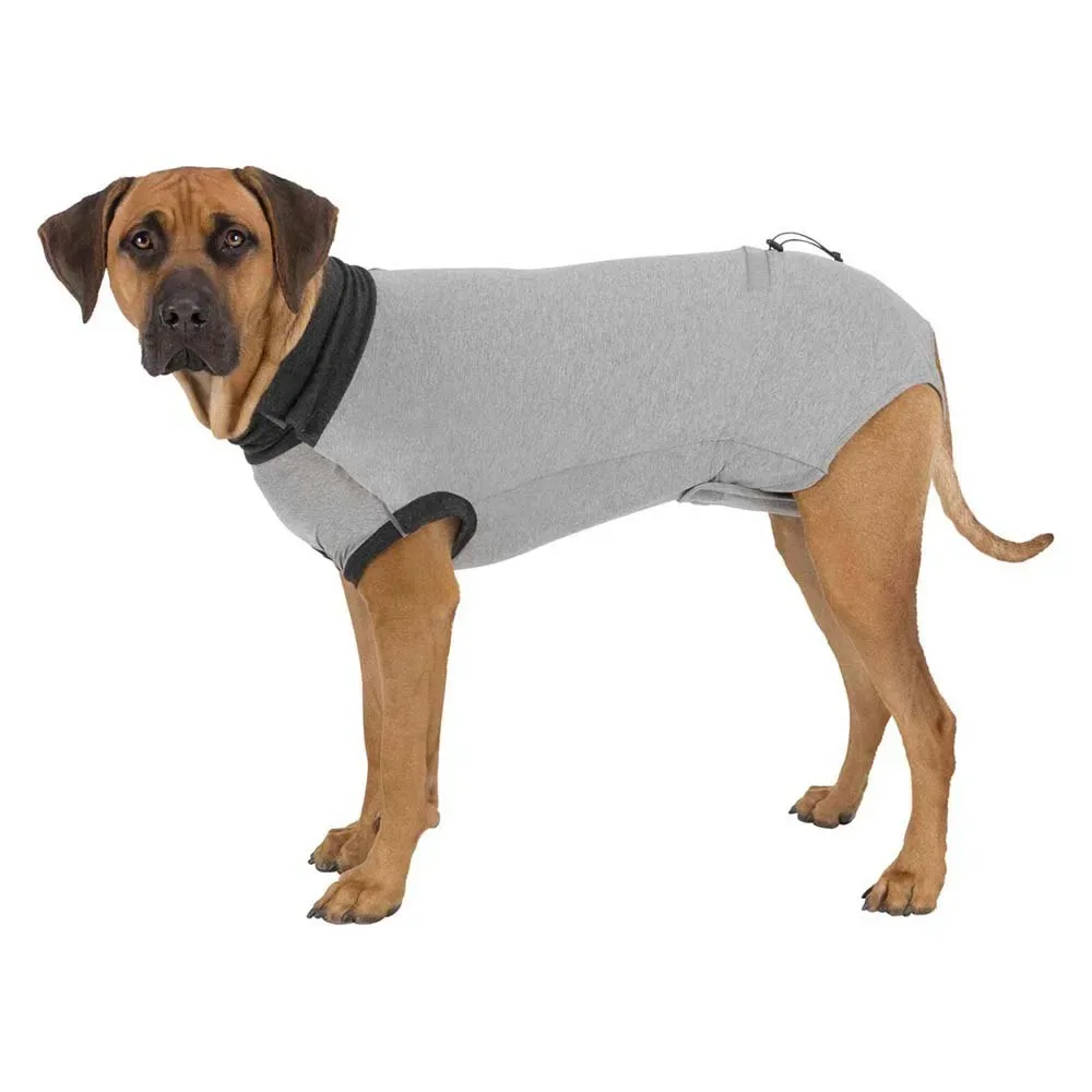 Hundejacke von Trixie – Produktfoto