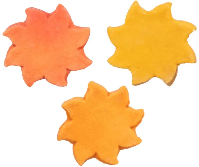 Hondensnack Trixie - Kippenborst Glutenvrij - 40gr, Eiwitrijke Snack in Zonvorm by Trixie – product photo