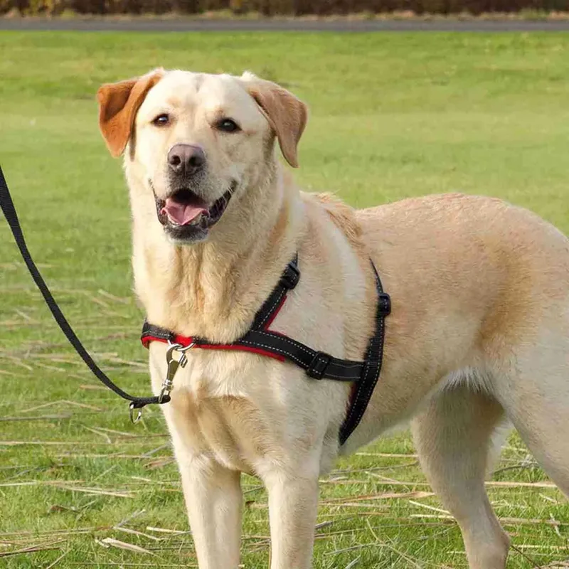 Hondentuig Trixie Lead'n'Walk - Neopreen, Verstelbaar 55-90 cm, Reflecterend by Trixie in Black – product photo 3 of 4