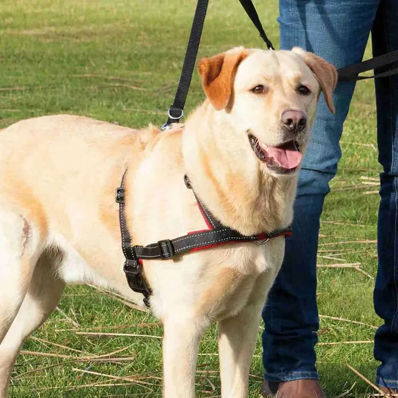 Hondentuig Trixie Lead'n'Walk - Neopreen, Verstelbaar 55-90 cm, Reflecterend by Trixie in Black – product photo 2 of 4