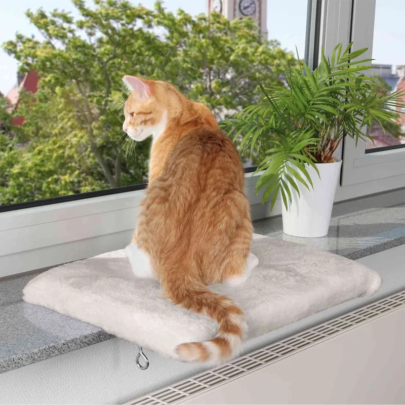 Kattenmand Plateau - Vensterbank - 51X36 cm by Trixie in Light grey – product photo 1 of 2
