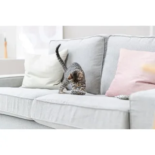 Leo Katten Speelgoed by Trixie – product photo 2 of 2
