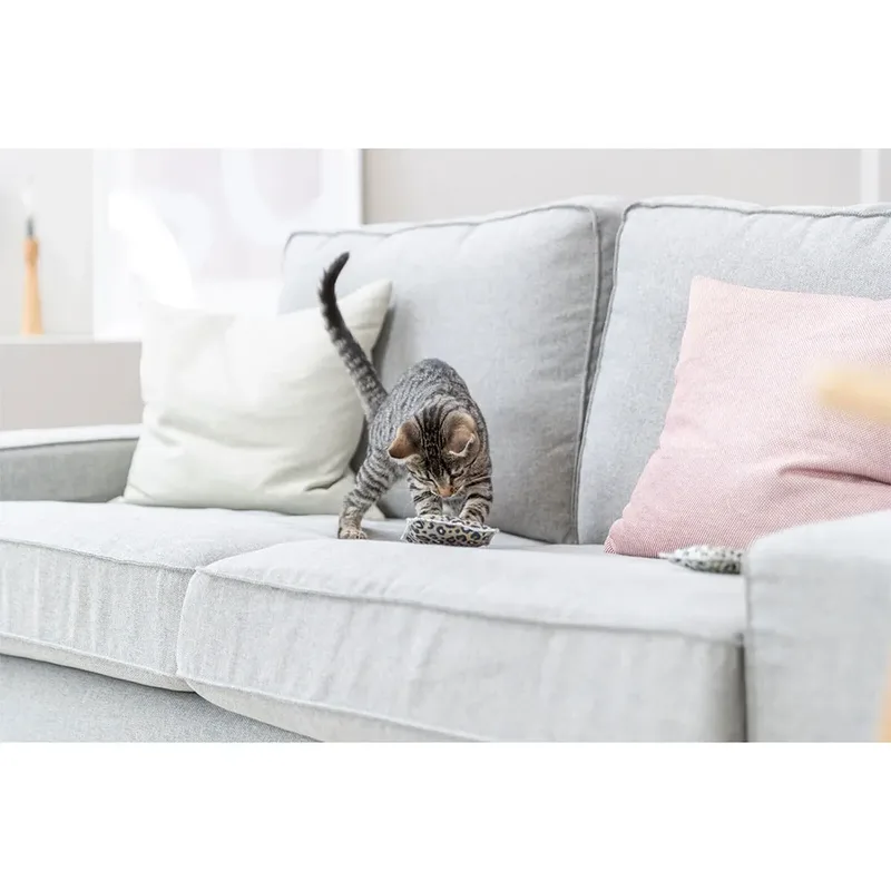 Leo Katten Speelgoed by Trixie – product photo 2 of 2