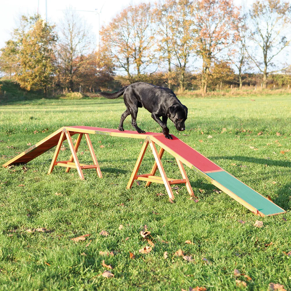 Loopplank Dog Activity Agility L456 x B30 x H64 cm by Trixie – product photo