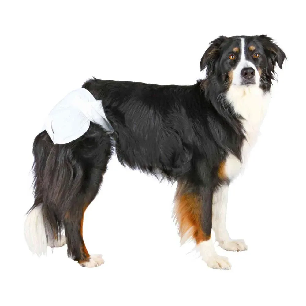 Luiers voor vrouwtjes hond, extra absorberend XS-S von Trixie – Produktfoto