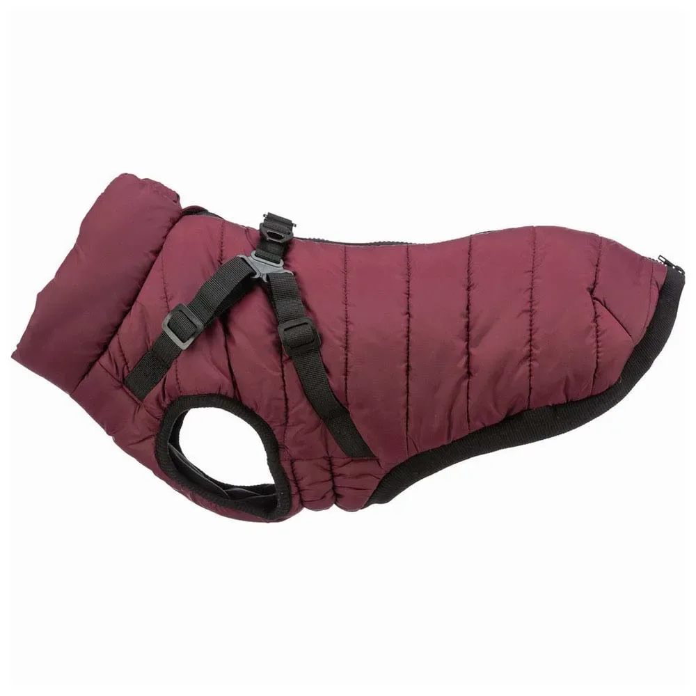 Manteau Pour Chien Pirou de Trixie – photo produit