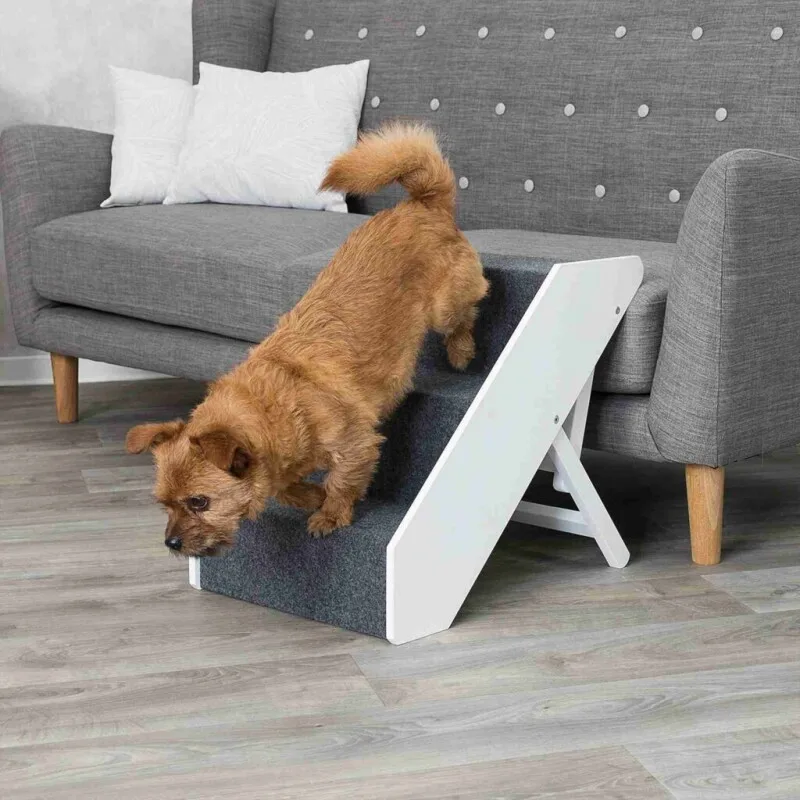 Möbel-Treppe für Hunde von Trixie in Regular – Produktfoto