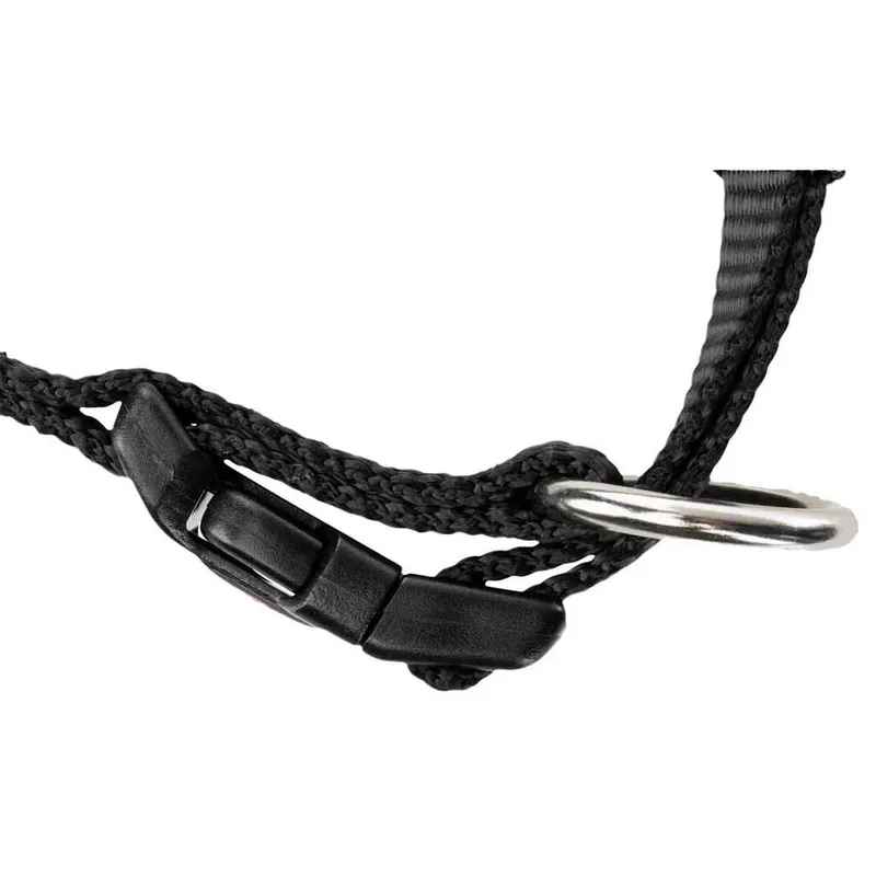 New Premium 20 Mm Hondenhalsband de Trixie – photo produit 4 sur 4