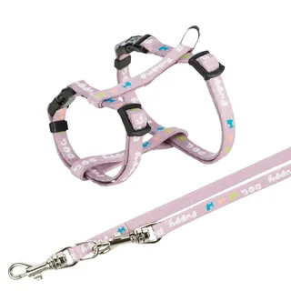 Puppy With Leash 10 Mm 2 M Hondenharnas von Trixie – Produktfoto 1 von 3