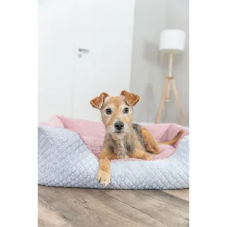 Rectangular Kaline Mio Hondenbed by Trixie – product photo 6 of 6