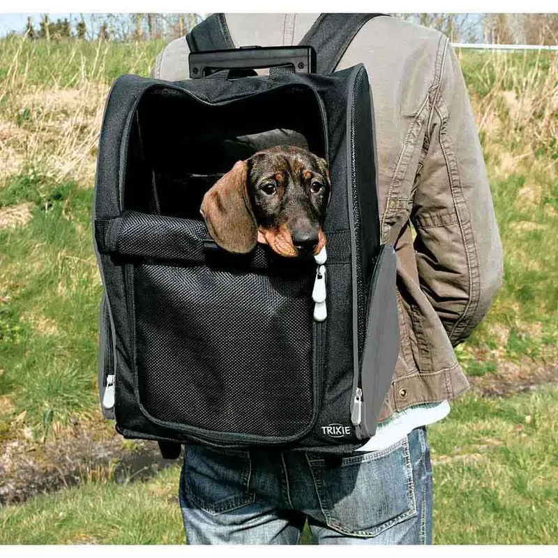 Reismand Trolley - Kleine Hond en Kat - Zwart - tot 8 kg - 36 x 27 x 50 cm by Trixie in Grey – product photo 5 of 5