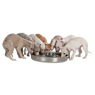 Gamelle Pour Chiots Acier Inoxydable 38 Cm de Trixie – photo produit 2 sur 2