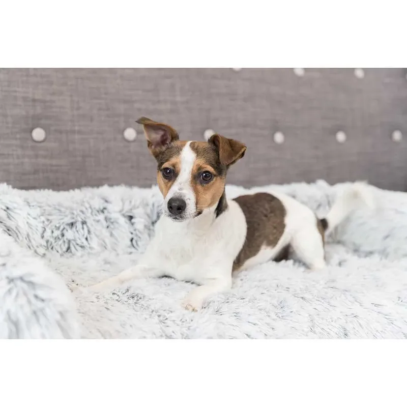 Sofa - Hondenbed Harvey - Meubelbeschermer - Hoekig - Wit/Zwart - 90X90 cm fra Trixie i Hvid, Sort – produktbillede 6 af 6
