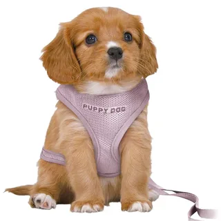Soft Puppy Leash 10 Mm 2 M Hondenharnas by Trixie – product photo 2 of 2