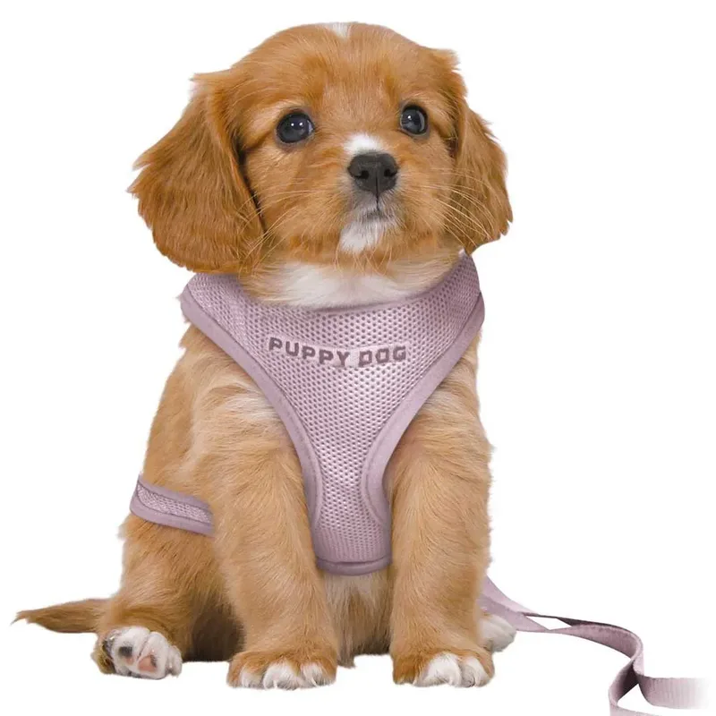 Soft Puppy Leash 10 Mm 2 M Hondenharnas by Trixie – product photo 2 of 2