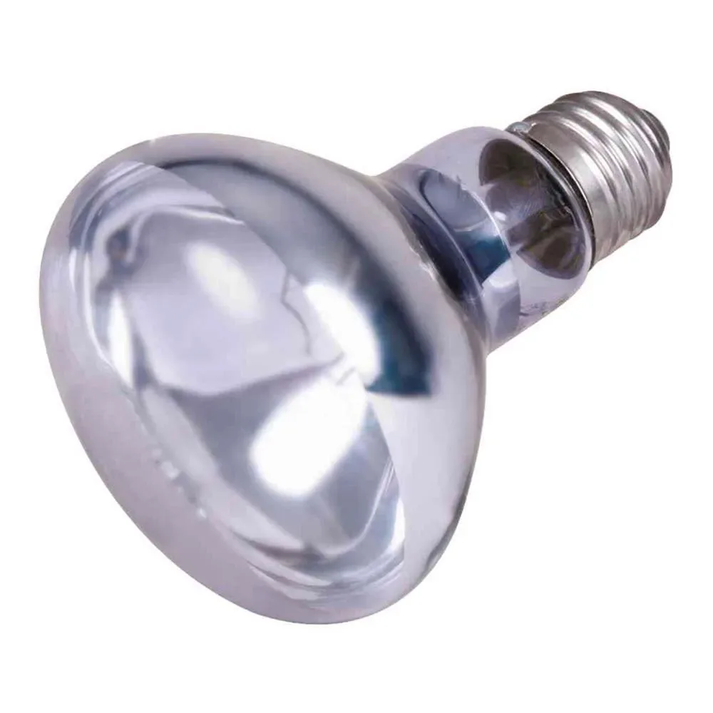 Lampe Spot Neodimio 100w de Trixie – photo produit