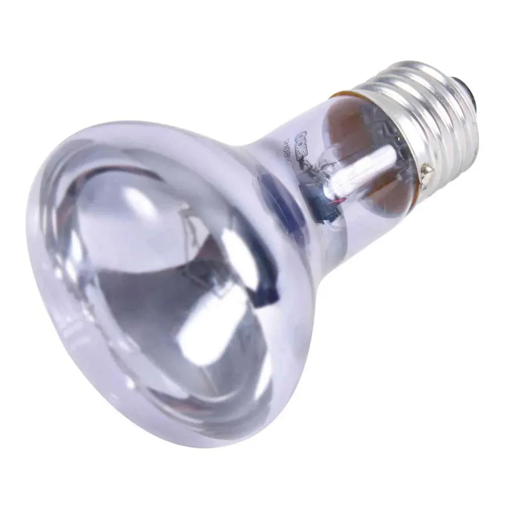 Lampe Spot Neodimio 35w de Trixie – photo produit