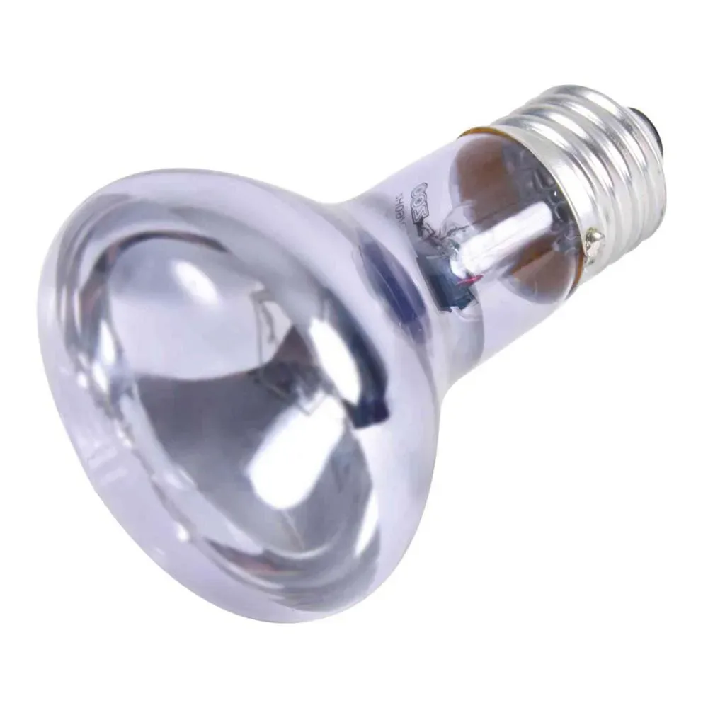 Lampe Spot Neodimio 75w de Trixie – photo produit