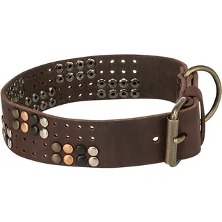 Trixie 18976 Hondenhalsband by Trixie – product photo 2 of 3