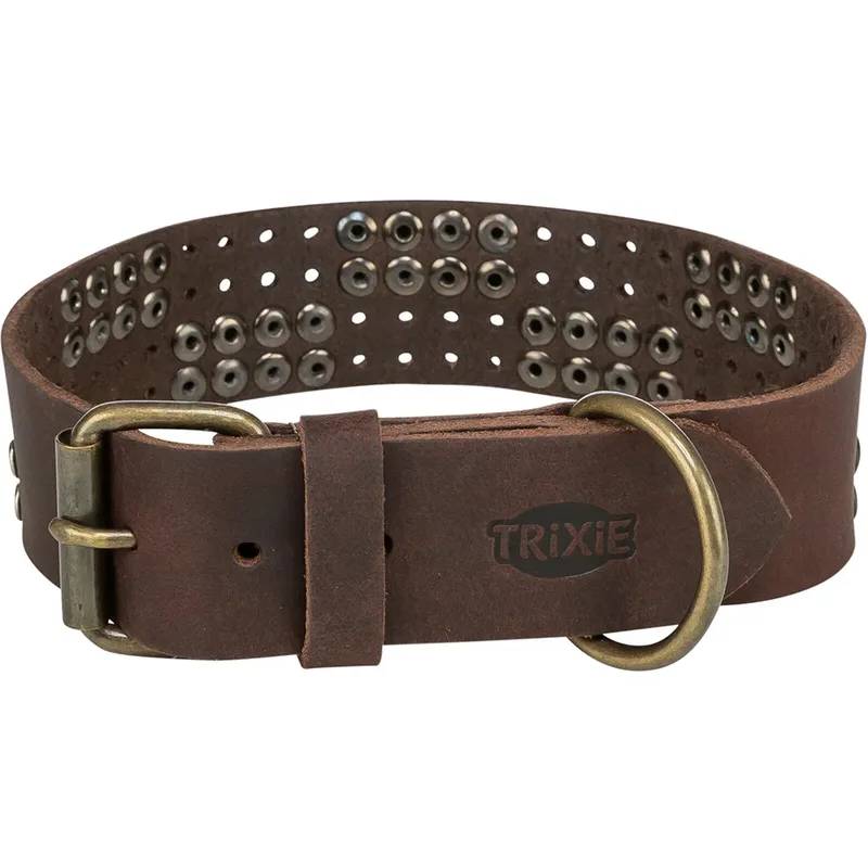 Trixie 18976 Hondenhalsband by Trixie – product photo 1 of 3