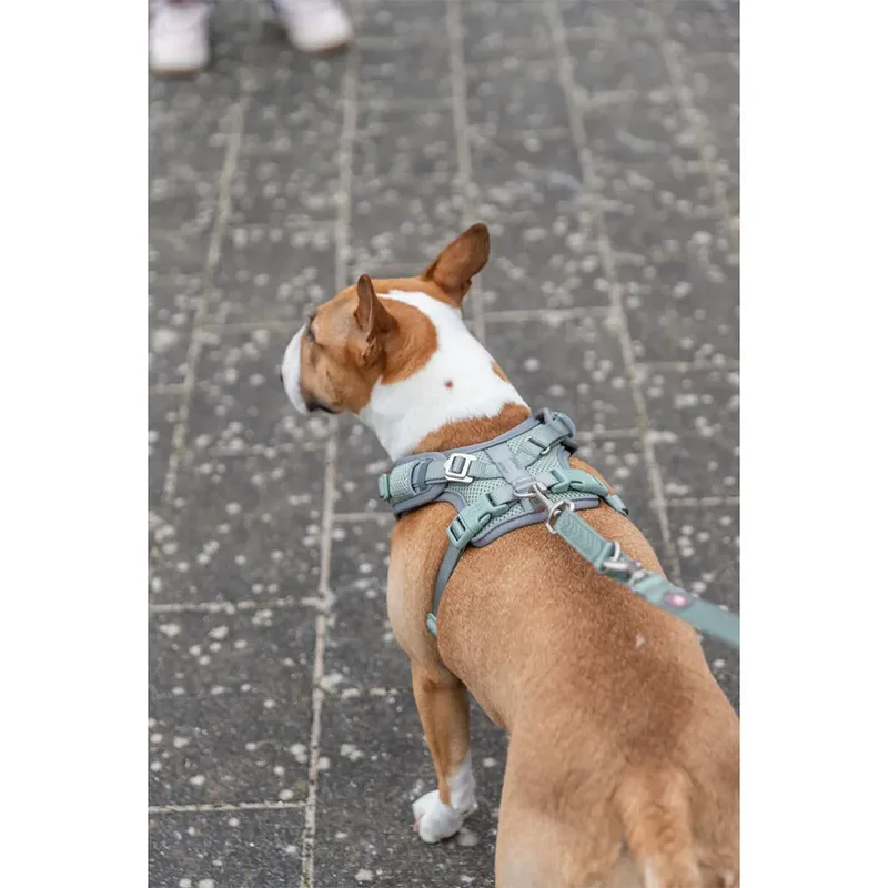 Trixie 1989434 Harnas by Trixie – product photo 2 of 3