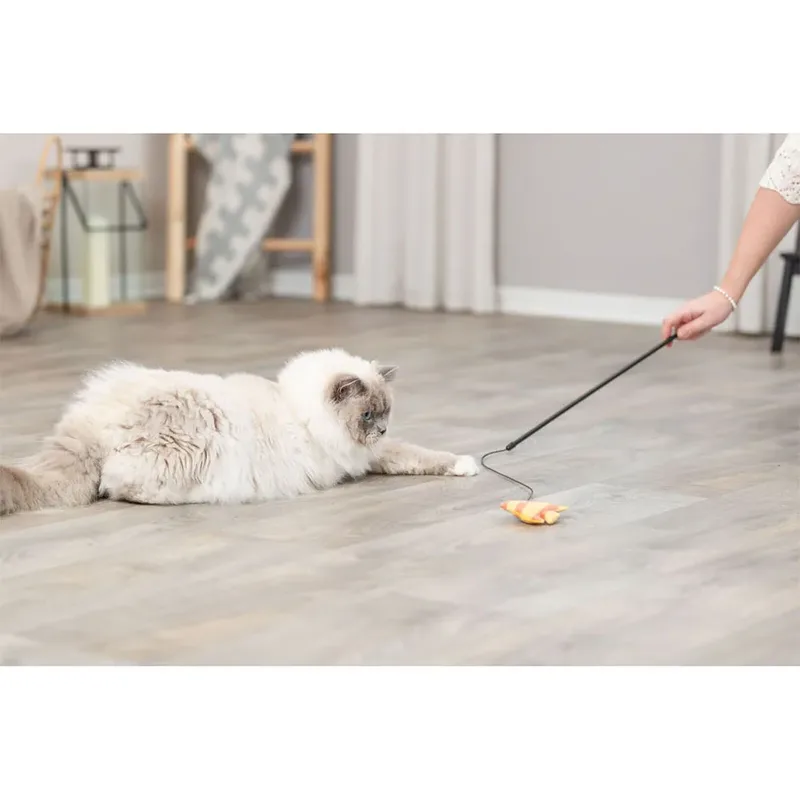 Trixie 45619 Krabpaal von Trixie – Produktfoto 3 von 3