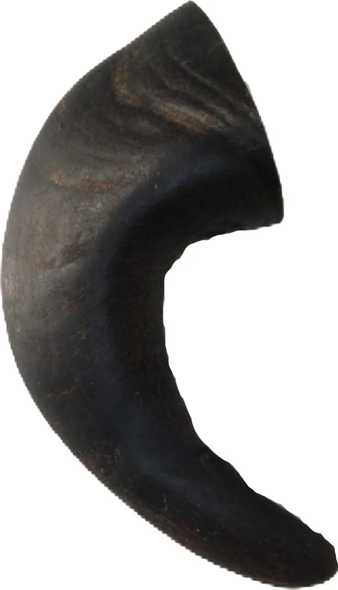 Trixie-6 stuks Kauwsnack-buffelhoorn-punt-ca 15cm lengte -Large-voor maanden lang kauw plezier by Trixie – product photo