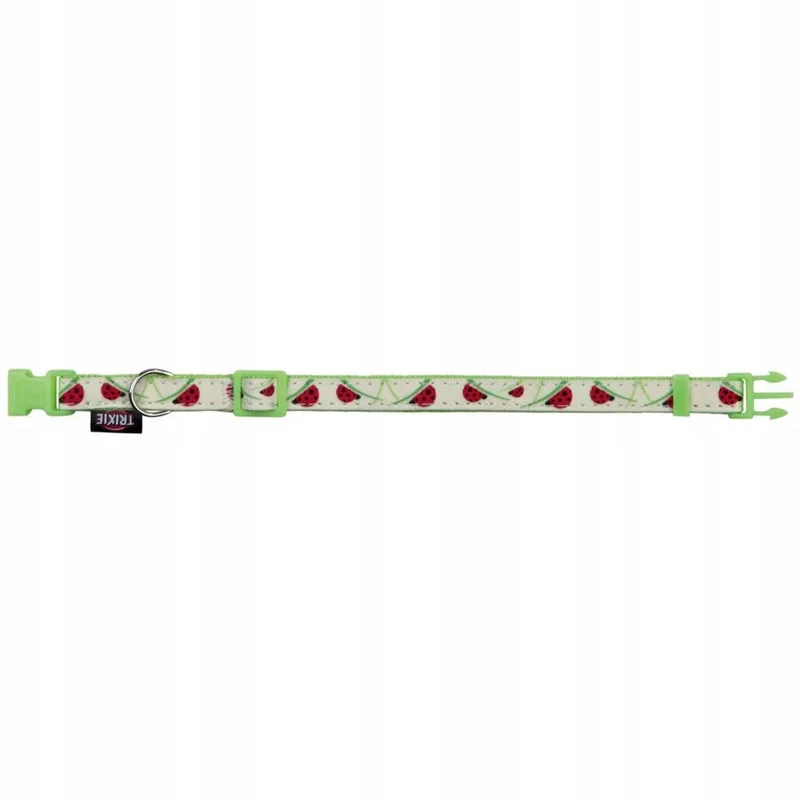 Verstelbare Halsband & Lijn voor Honden/Katten - Lichtgevend de Trixie – photo produit