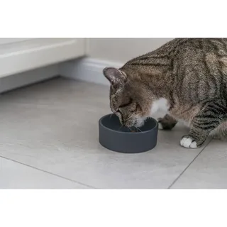 Trixie 24810 Futterautomat Für Katzen von Trixie in Grau – Produktfoto 3 von 3