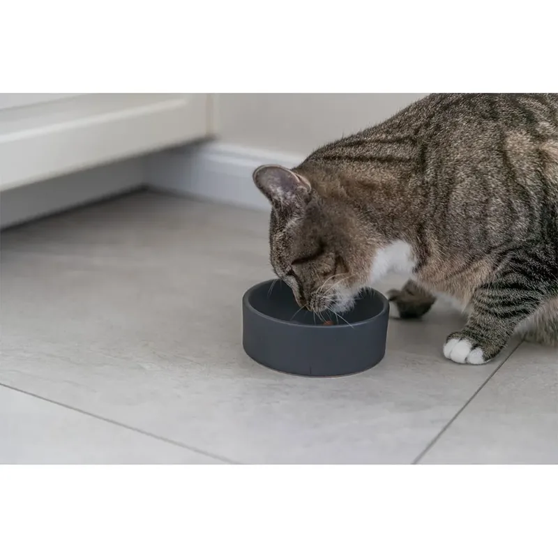 Trixie 24810 Futterautomat Für Katzen von Trixie in Grau – Produktfoto 3 von 3