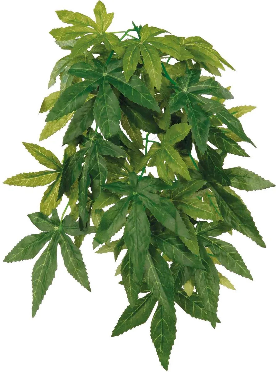 Zijden Hangplant Abutilon √∏ 20 √ó 50 cm de Trixie en Vert – photo produit