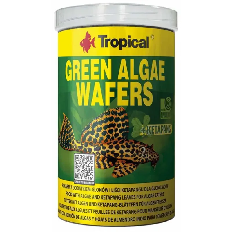 Green Algae Wafers 113 G Visvoer von Tropical – Produktfoto