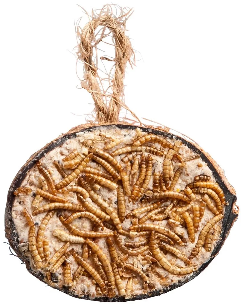 Cocosnoot Vet en Meelwormen 280 g - Kokosnoot met Insecten by Tweetfeed – product photo