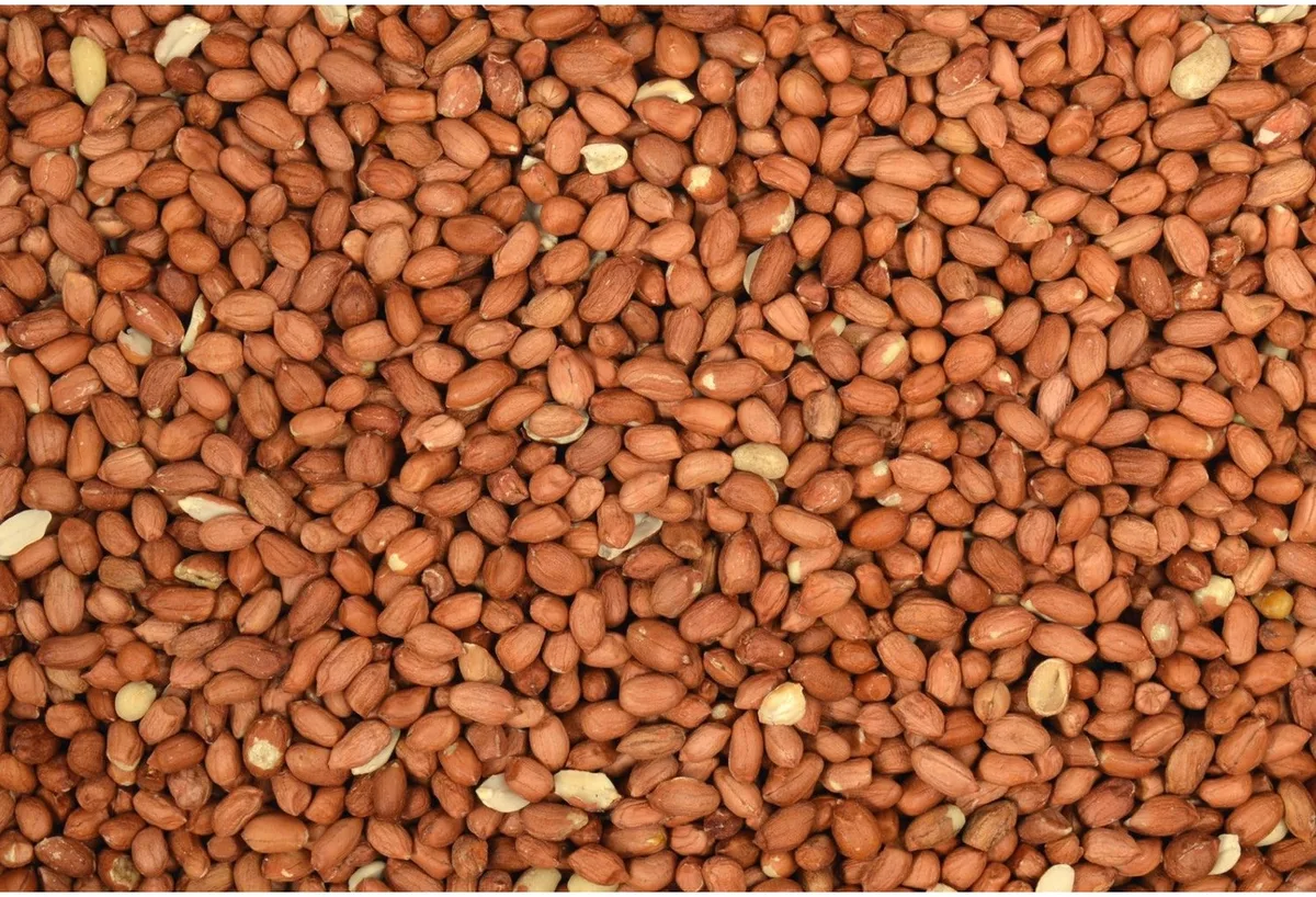 Pinda's Gepeld 1 kg - Pinda's voor Vogels by Tweetfeed – product photo