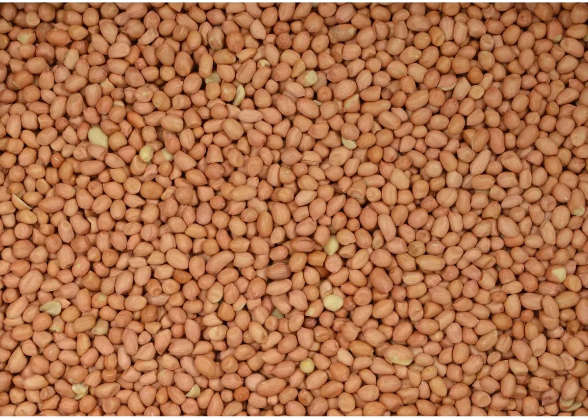 Pinda's Gepeld 2,5 kg - Pinda's voor Vogels von Tweetfeed – Produktfoto