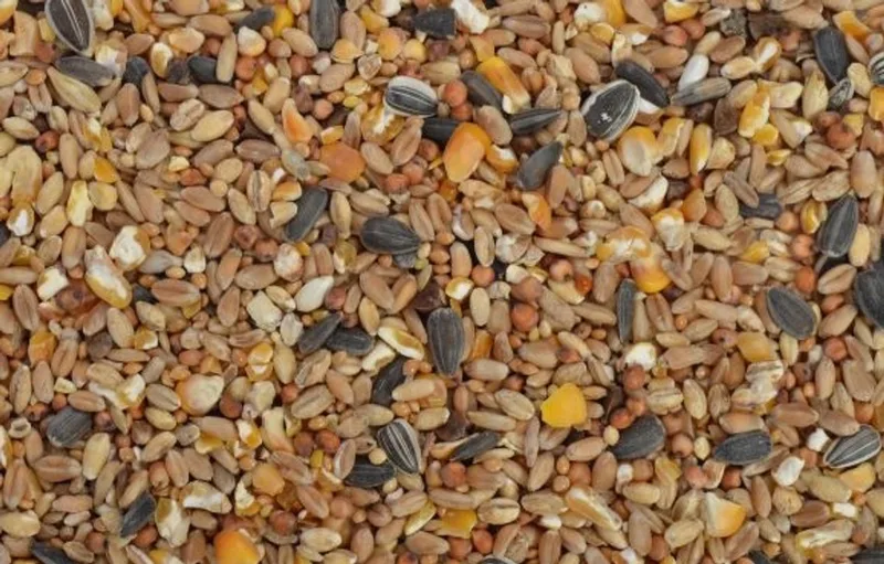 Voordeel-Strooivoer 2,5KG by Tweetfeed – product photo