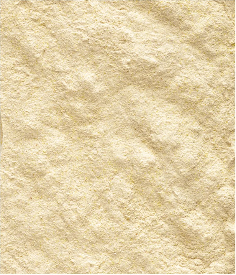 Handmix Opfokvoer - Vogelvoer - 500 g de Versele-Laga – photo produit