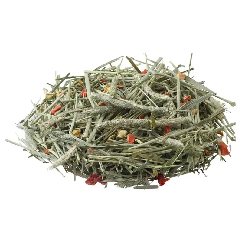 Foin Timothy Naturel Carotte Et Citrouille Nourriture Pour Rongeurs 500g de Versele-Laga – photo produit 1 sur 2