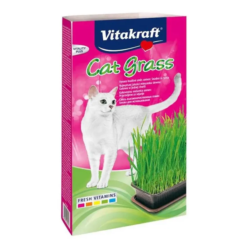 Kattengras 120g by Vitakraft – product photo