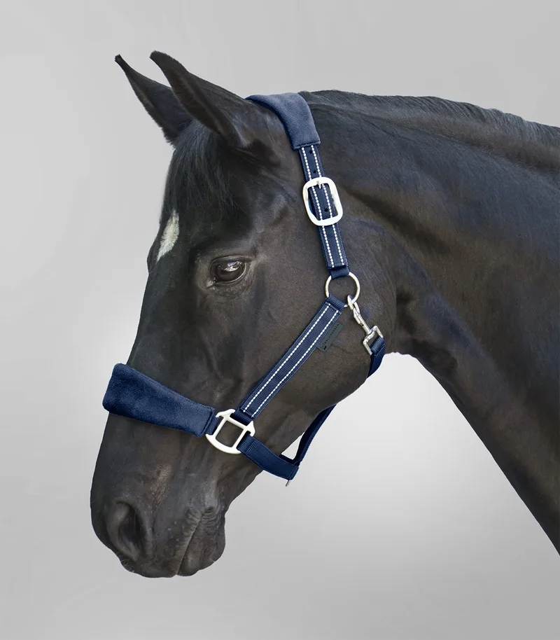 Alcantara Halster - Bijna Uitverkocht! | Pony von Waldhausen in Night blue – Produktfoto