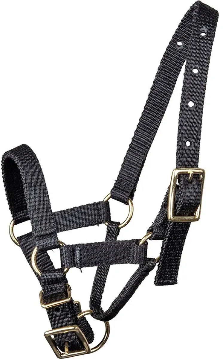 Alpaca Halster | L by Waldhausen in Black – product photo