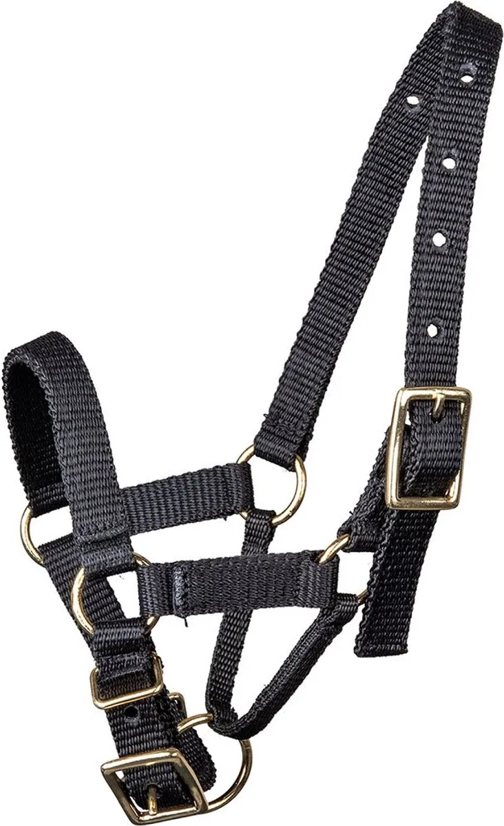 Alpaca Halster | M by Waldhausen in Black – product photo
