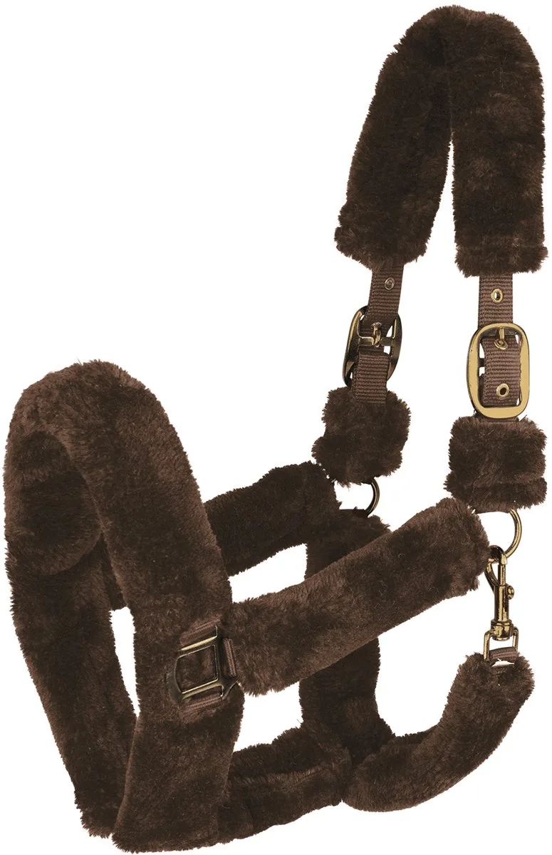 Comfortabel Halster - Bijna Uitverkocht! | Pony de Waldhausen en Marron, Or – photo produit