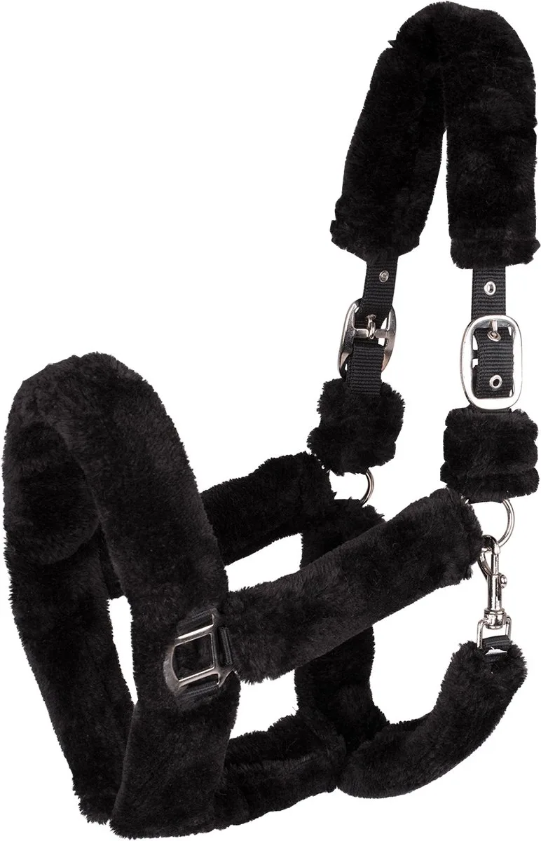 Comfortabel Halster - Bijna Uitverkocht! | Pony de Waldhausen en Noir, Argent – photo produit